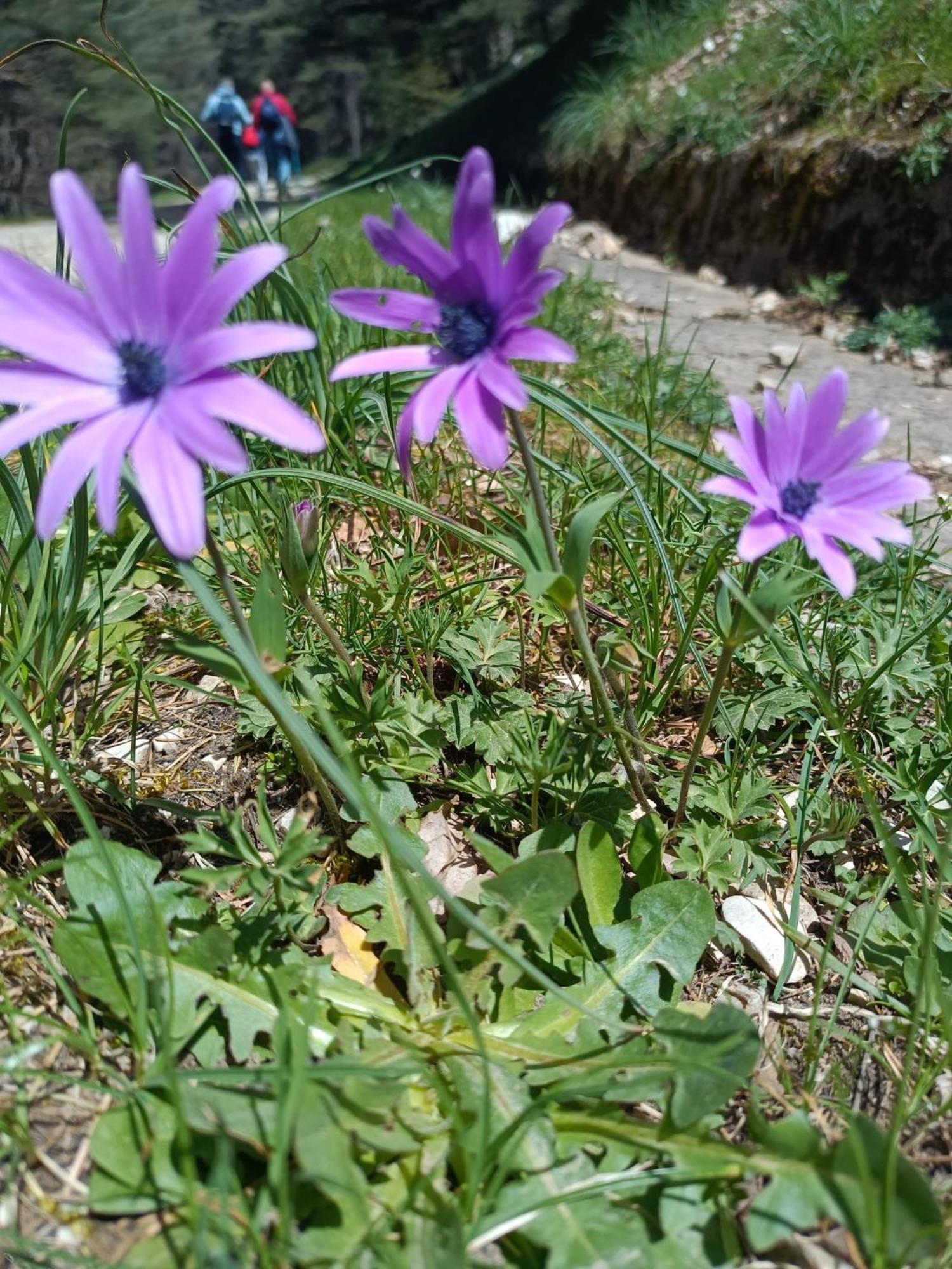 Casa Didyma Daire San Giovanni Gemini Dış mekan fotoğraf